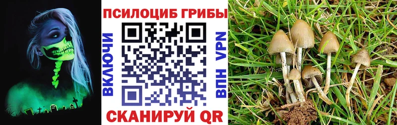 купить наркоту  гидра онион  Галлюциногенные грибы прущие грибы  Балаково 